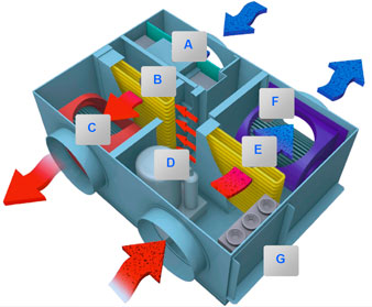 ����������� ��������, ���������� ����, ��������� �������, ������ ��������, ���������, ���������� �����