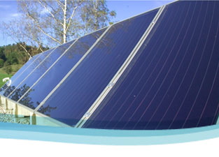 ����������� ��������, ���������� ����, ��������� �������, ������ ��������, ���������, ���������� �����